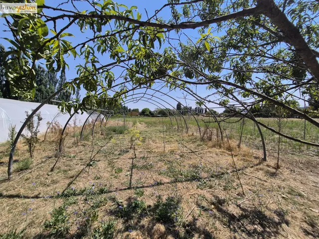 TERRENO CON NAVE EN VENTA EN VILLABAÑEZ (VALLADOLID) — 16