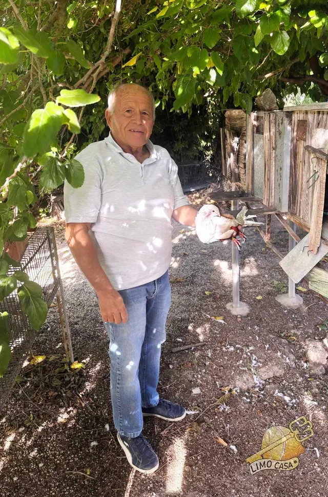 Maison dans les potagers de Ricote — 12