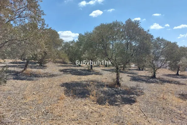 Parcela en venta - Alora pueblo — 13