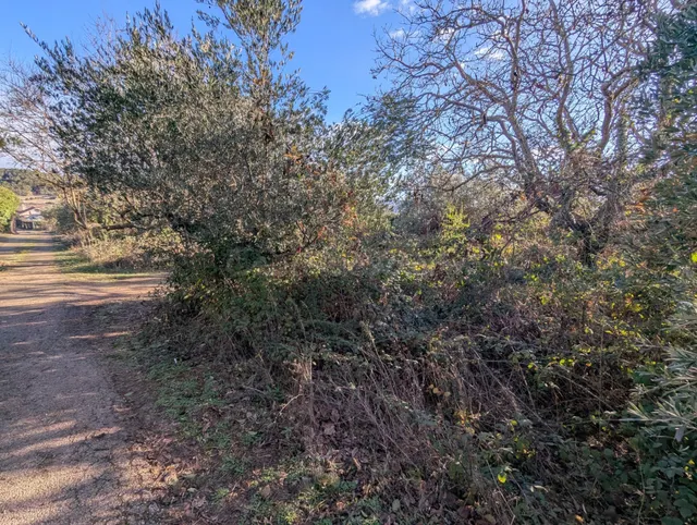 Finca rustica en Estella - foto 4