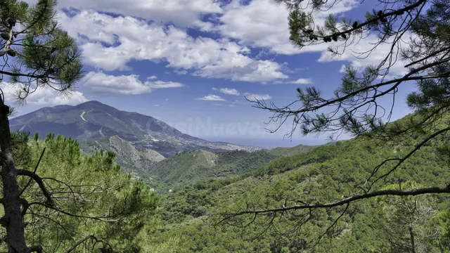 Parcela en venta - South of spain