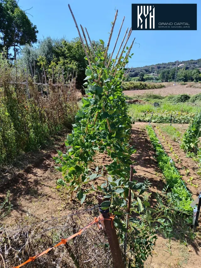 TERRENO EN MONTFULLA — 6