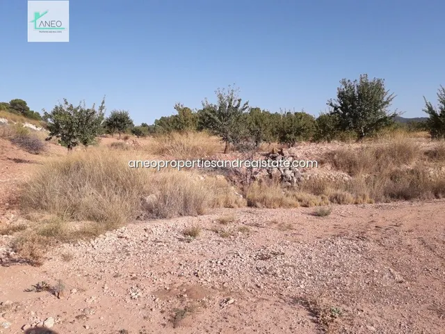 TERRENO AGRICOLA CON AGUA DE RIEGO Y CULTIVOS - foto 4