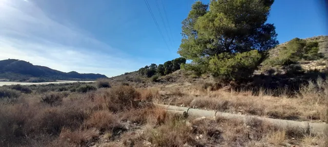 PARCELA 30.000 METROS DE TERRENO — 26