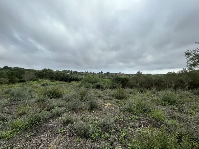 Parcela 1444m² en venta - Sotogrande Costa - foto 5