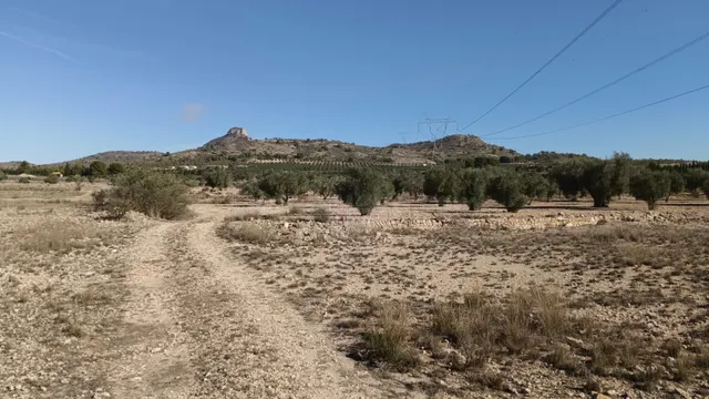 Parcela agrícola en Salinas, Alicante - Venta - foto 2