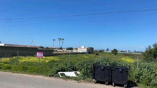 MAGNIFICA PARCELA EN CAMINO PISTA DE MONTIJO, CHIPIONA — 5