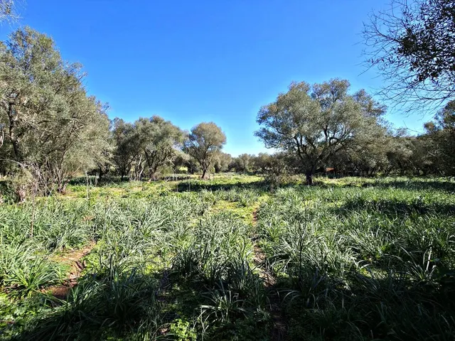 Solar residencial en Venta en Felanitx Baleares — 23