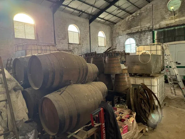 Viñedo de 24,40ha 1300m2 naves y 400m2 restaurante — 19