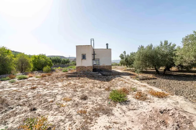 Terreno con Cortijo en Alsodux — 13