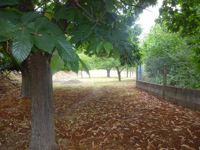 SE VENDE CASA SEÑORIAL PAREADA DE PIEDRA REFORMADA Y EN PERFECTO ESTADO EN PADRON — 36