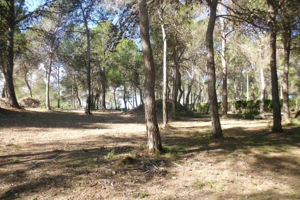 Terreno en Garrofer de L'Hora - Ontinyent