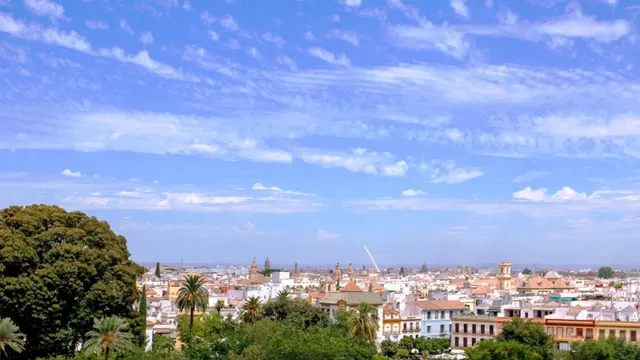 Espectacular activo patrimonial en venta: 5ª planta con vistas a los Jardines de Murillo y la Giralda. — 24