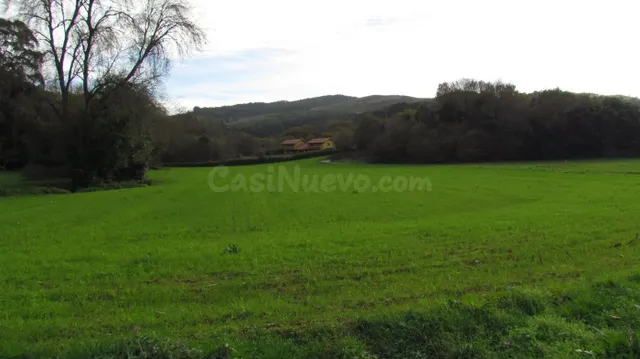 Venta de parcela rústica en Ruiloba - foto 3