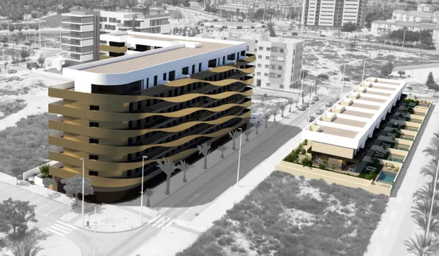 OBRA NUEVA EN TRAVALON EN ELCHE — 13