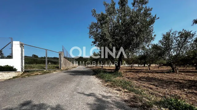 Terreno rural en venta - Els Plans — 14