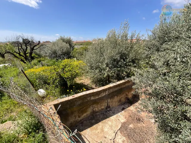 CASA PARA REFORMAR EN LOS CANOVAS, FUENTE ALAMO — 31