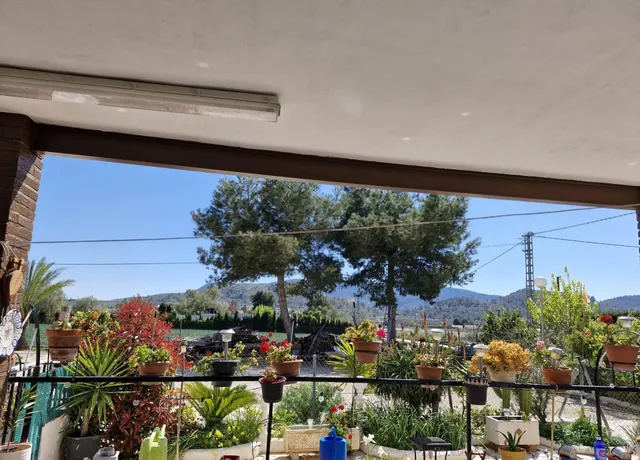 CASA CON TERRENO EN HONDON DE LAS NIEVES — 7