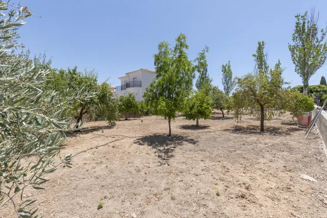 Terreno urbano en la aldea de los Bermejales, termino de Arenas del Rey — 8