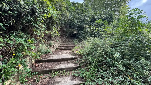 Casa con grandes posibilidades y vistas panorámicas en Mored - foto 5