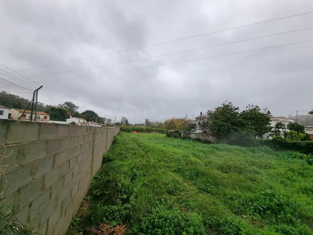 Parcela en venta - San Enrique De Guadiaro - foto 4