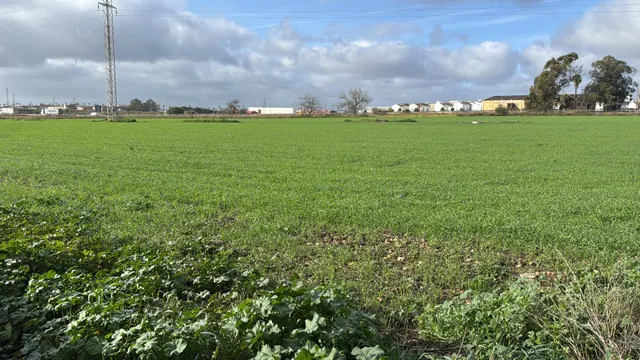 TERRENO INDUSTRIAL EN GIBRALEÓN (HUELVA) — 3
