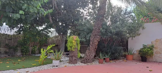 SE VENDE COMPLEJO HOSTELERO EN ELCHE (ALICANTE) - foto 3