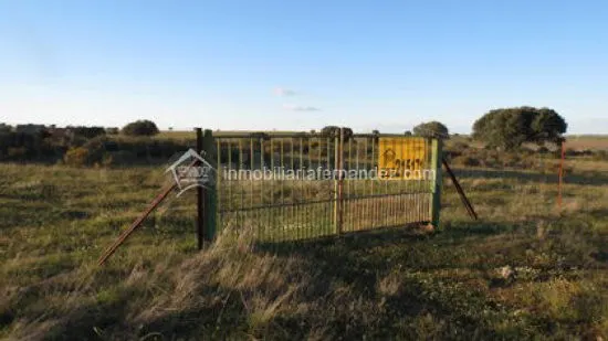 Se vende Finca en la Carretera de Badajoz