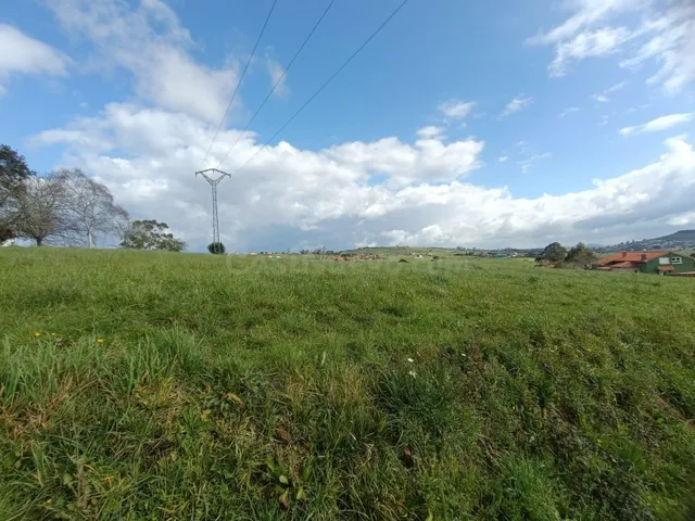 2 FINCAS URBANAS DE 2.000 M2 CADA UNA EN UN ENTORNO PRIVILEG - foto 3