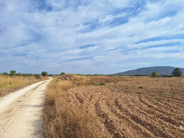 ¡Parcela edificable de 16964 m2, vallada, con agua de riego y muy buen acceso, a solo 5 minutos de Pinoso! — 17