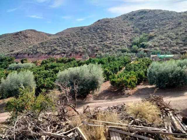Terreno rural en venta - Marina de Cope