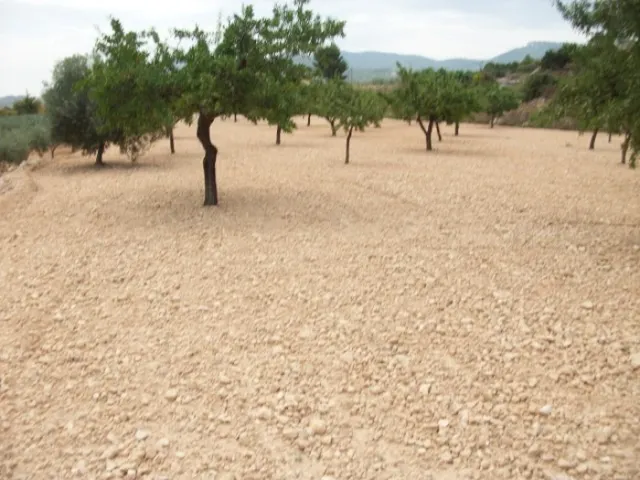 Parcela de 10.000 metros rural — 2