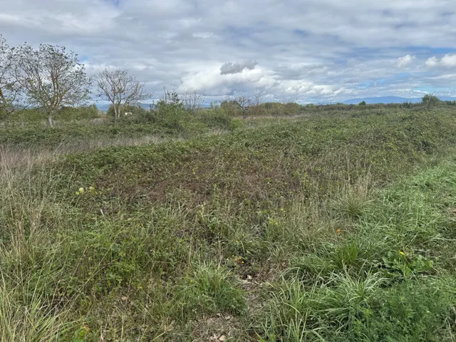 SE VENDE 8.800 M2 DE TERRENO RUSTICO EN CARRACEDELO — 6