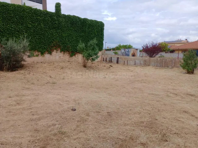 Parcela urbana en el Ventorrillo (Vegas del Genil). - foto 2