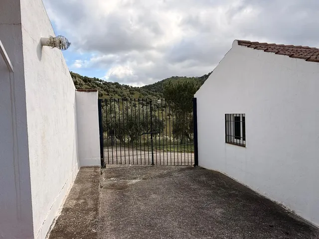 Finca rústica de 26 ha con 3.000 olivos ecológicos, cortijos y alta producción. — 43