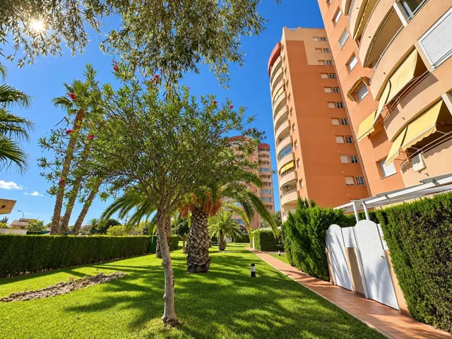 Apartamento 2 habitaciones 81m² en venta - Campoamor — 14