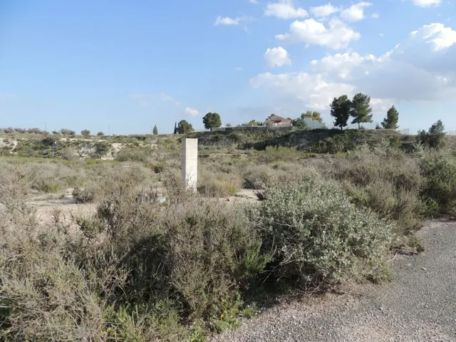 ++Terreno no urbano en carretera de molina de segura a fortuna, primera linea de carretera++ — 3