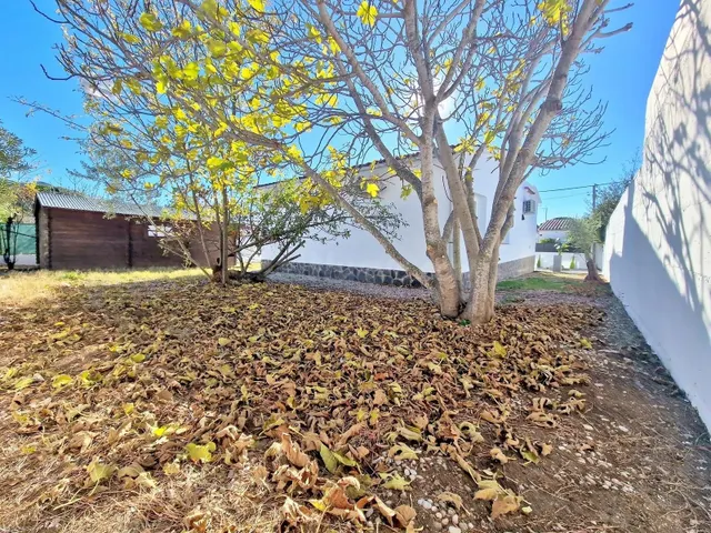 Villa independiente reformada de 3 dormitorios en Roses - foto 5