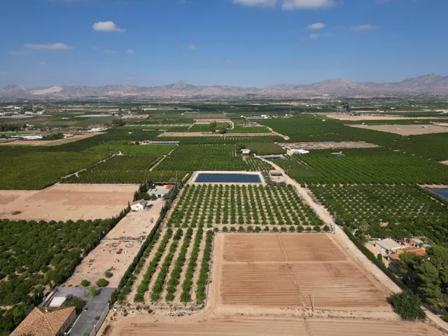 Oportunidad Inversión: Parcelas Rurales en Orihuela — 3