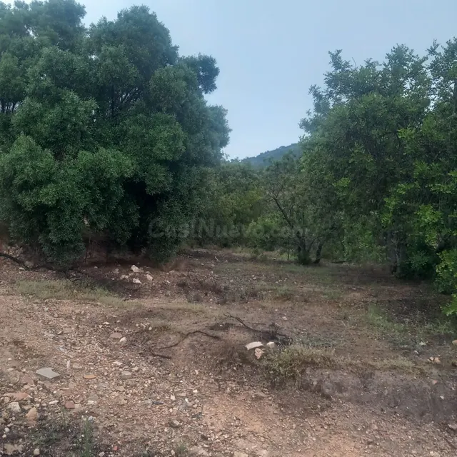 Finca rústica 26m² en venta - Tivenys - foto 4