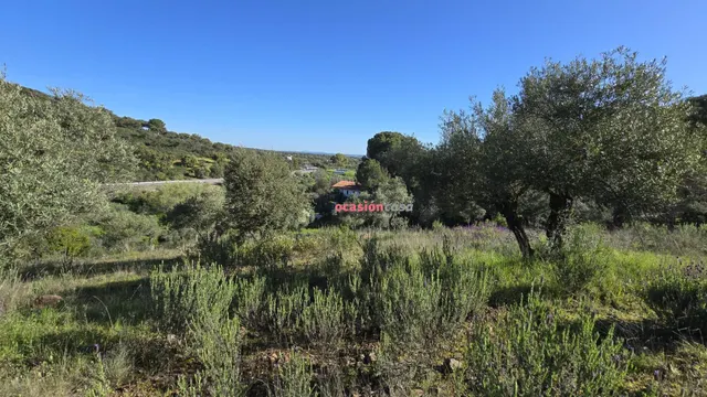 CHALET EN VENTA EN EL PUERTO CALATRAVEÑO — 23