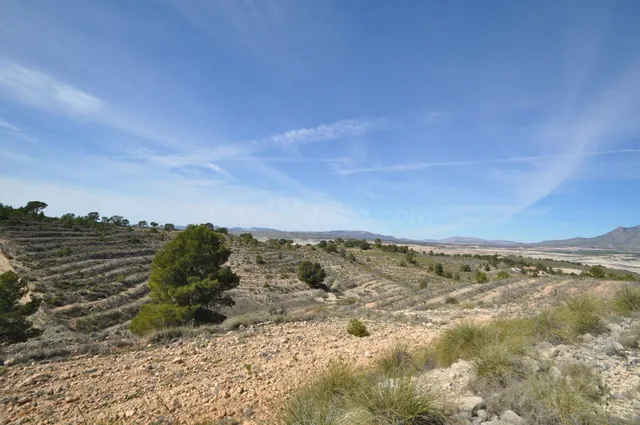 Parcela 400m² en venta - Jumilla - foto 3