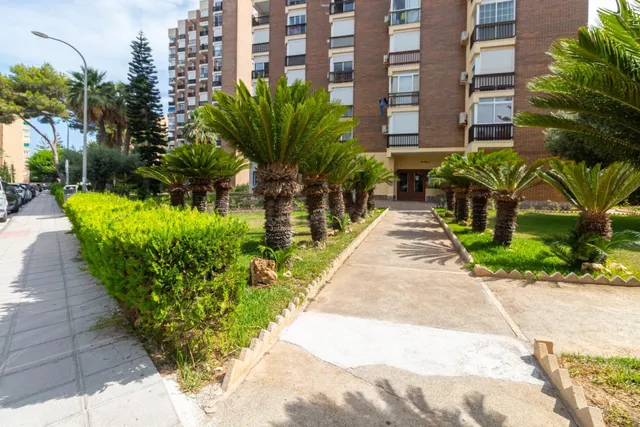 Apartamento 1 habitación 47m² en venta - Campoamor — 26