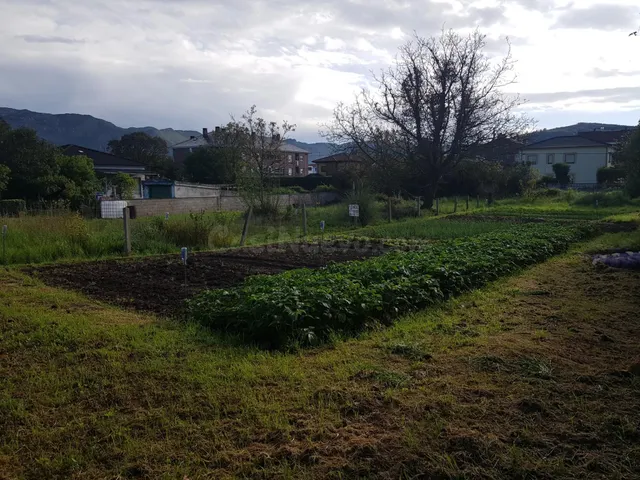 Mil metros cuadrados de terreno urbano en Los Corrales de Bu - foto 4