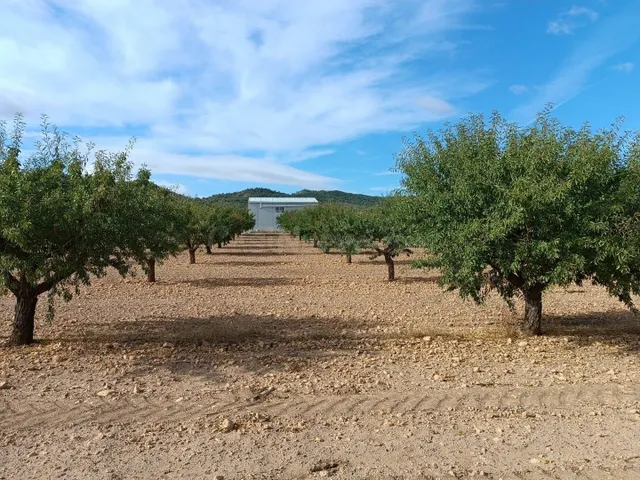 Parcela 230m² en venta - Ayuntamiento