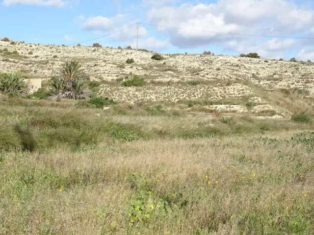 SE VENDE PARCELA DE 20814 M2 CON ALMACÉN DE 45 M2 EN ASPE ZO - foto 3