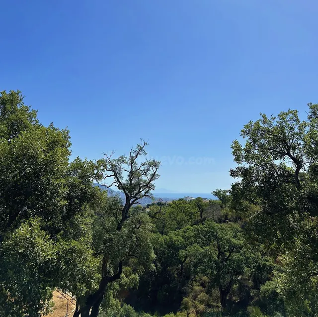 Parcela 471m² en venta - Marbella - foto 5