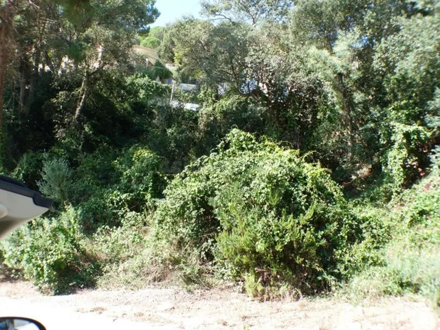 Terreno urbanizable 250m² en venta - Serra Brava - foto 2