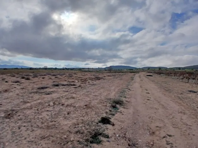Parcela en venta - Yecla — 18