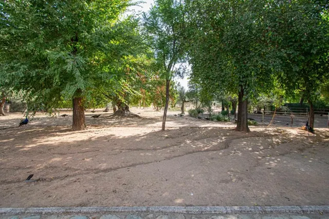 Espectacular finca en carretera mairena - almensilla !!! — 71